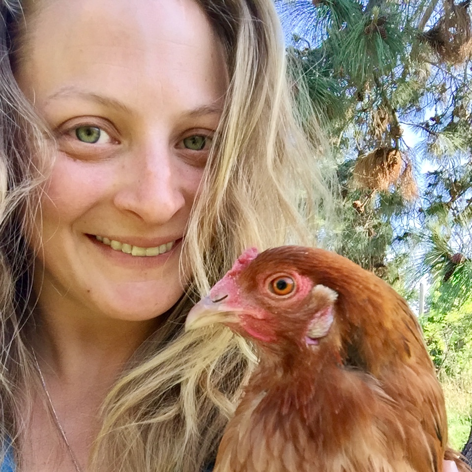 the author, ryan elizabeth cope, with one of her backyard chickens.